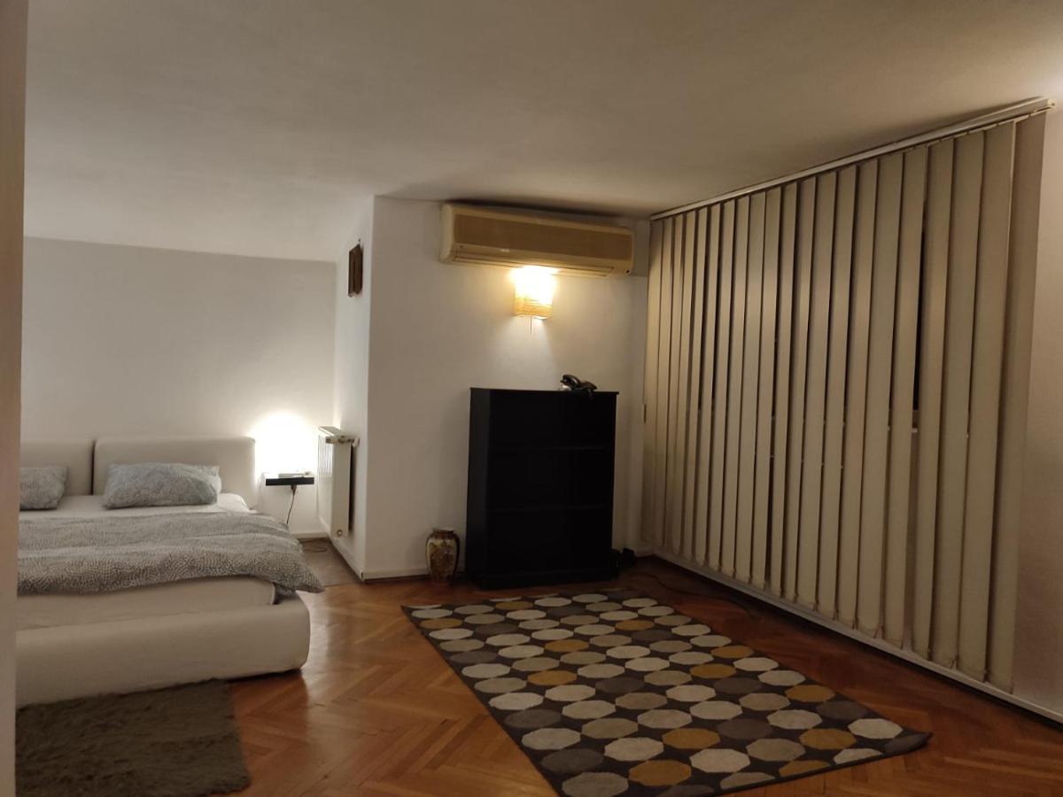 Dorobanti Loft Apartment Bukares Bagian luar foto